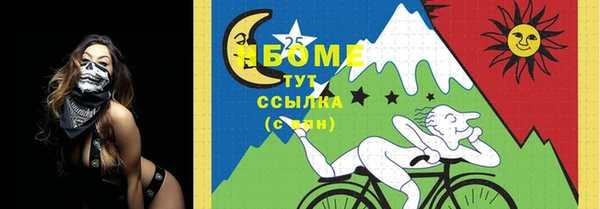 СК Инсар