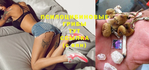 ECSTASY Иннополис
