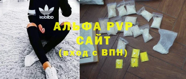 СК Инсар