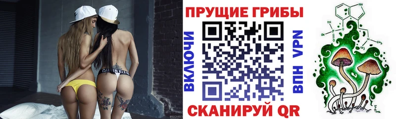 Купить закладки  Ковылкино  Галлюциногенные грибы ЛСД 
